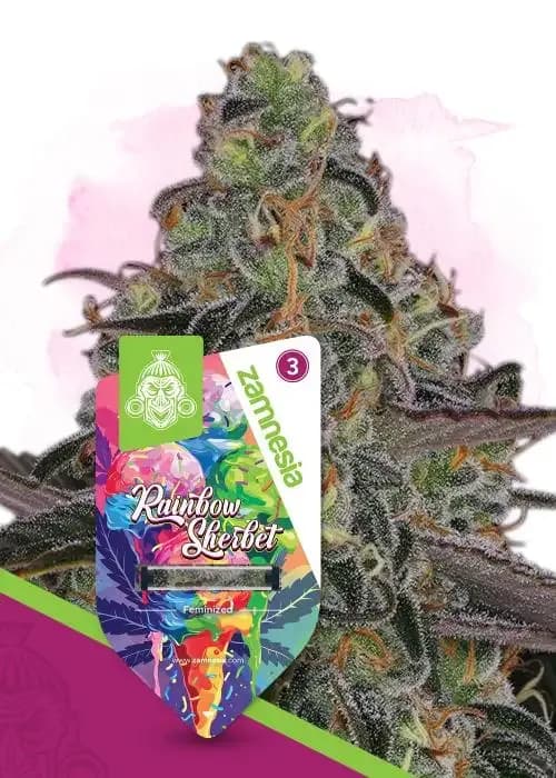 rainbow sherbet