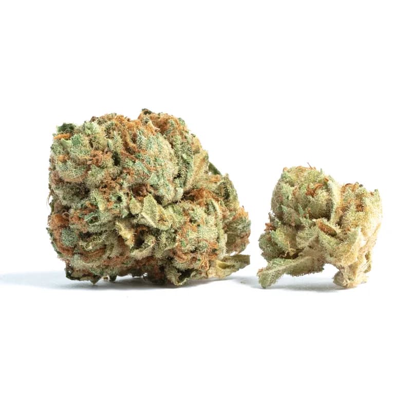 tahoe og