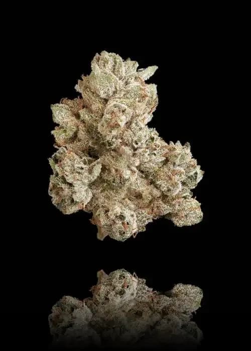 xxx og
