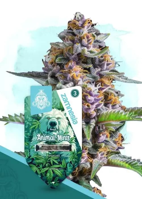 animal mints