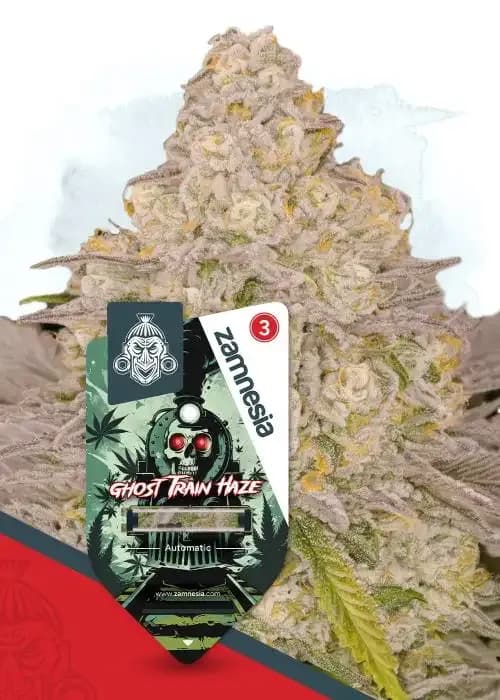 ghost train haze automatic