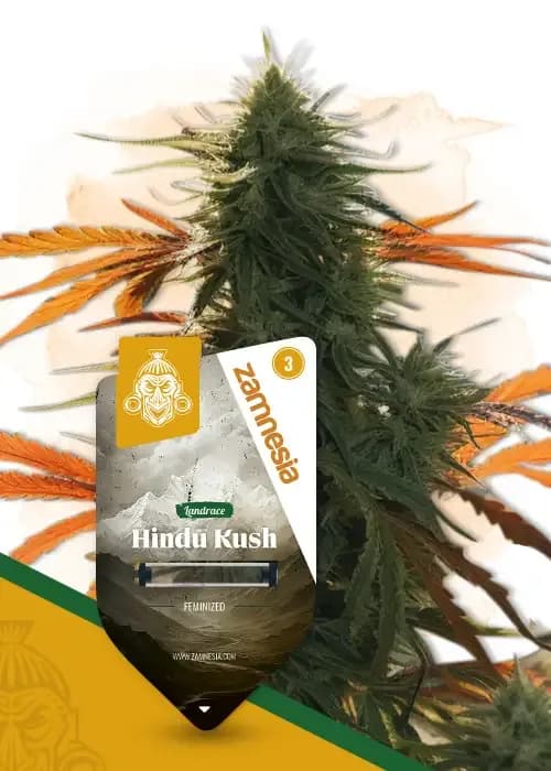 hindu kush