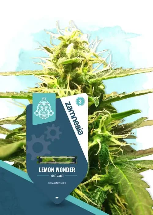 lemon wonder automatic
