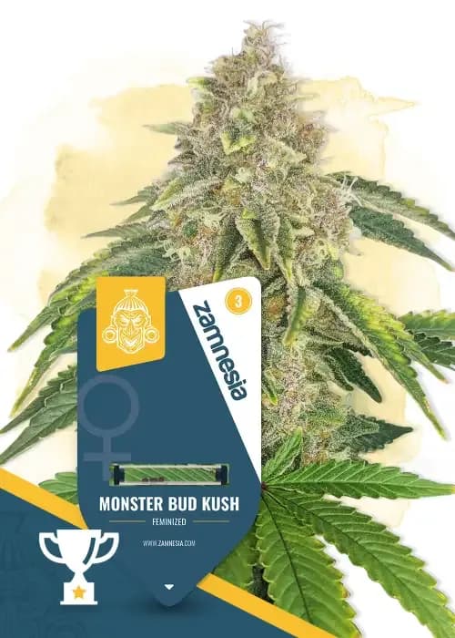 monster bud kush