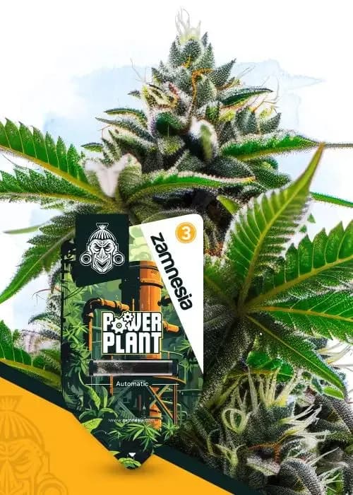 power plant automatic