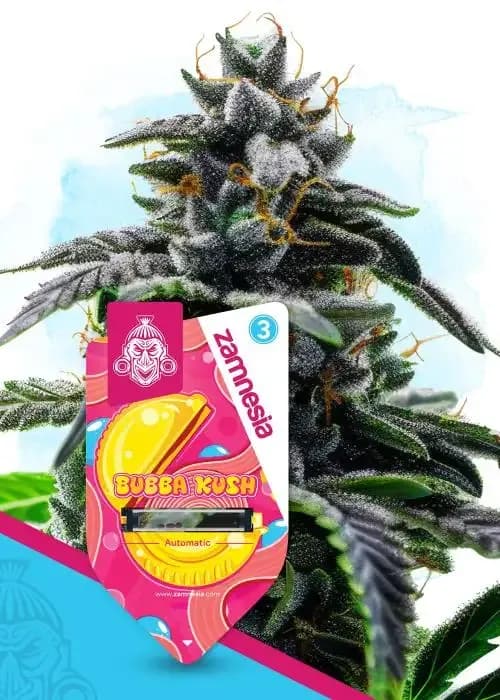 Bubba Kush Automatic