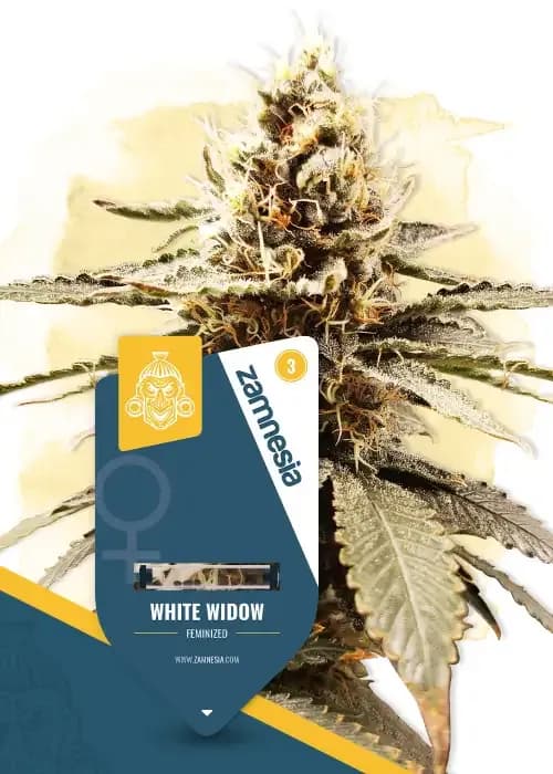 white widow