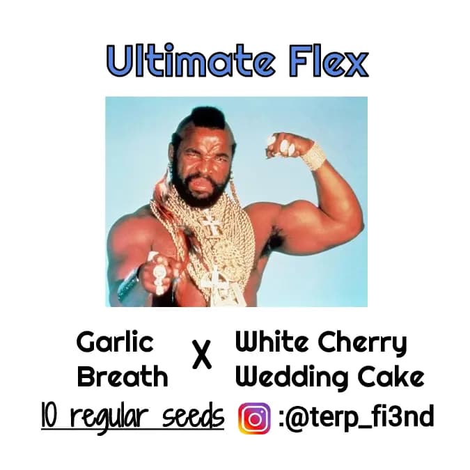 ultimate flex