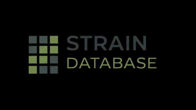 Strain Database