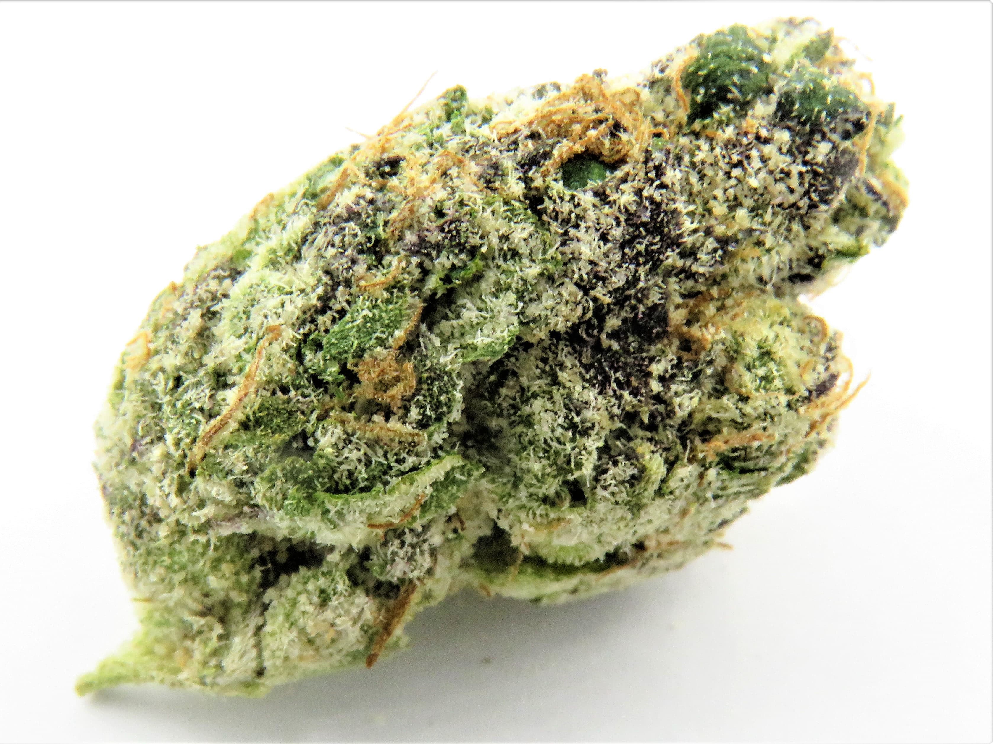Peach Champagne