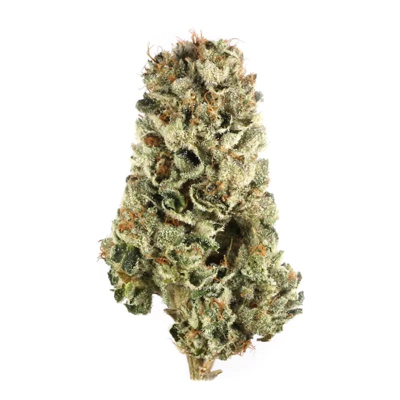 cherry pie