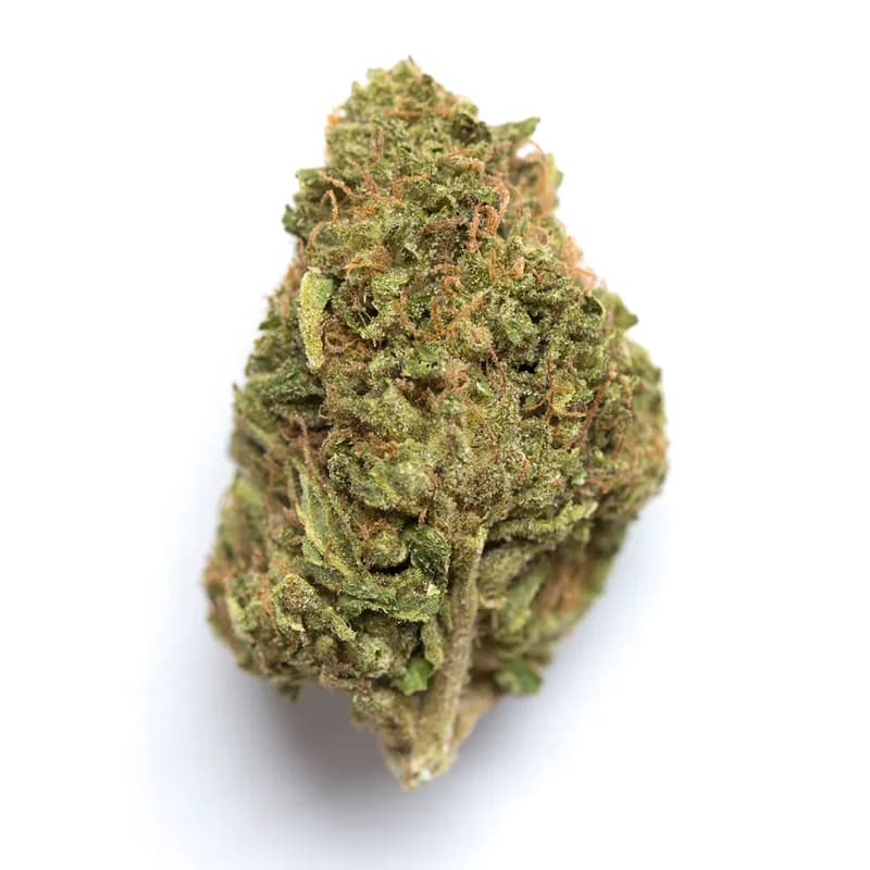 lemon kush